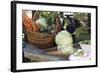 Vegetable Still Life with Brassicas, Potatoes and Carrots-Eising Studio - Food Photo and Video-Framed Photographic Print