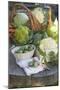 Vegetable Still Life with Various Types of Brassicas-Eising Studio - Food Photo and Video-Mounted Photographic Print