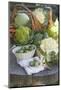 Vegetable Still Life with Various Types of Brassicas-Eising Studio - Food Photo and Video-Mounted Photographic Print