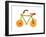 Vegetables and Fruit Forming the Shape of a Bicycle-Luzia Ellert-Framed Photographic Print