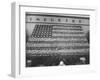 Vegetables Arranged to Look Like the American Flag-Frank Scherschel-Framed Photographic Print