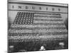 Vegetables Arranged to Look Like the American Flag-Frank Scherschel-Mounted Photographic Print