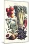 Vegetables; Beet, Hot Peppers, Celery, Tomatoes, and Peas in Pods-Philippe-Victoire Leveque de Vilmorin-Mounted Art Print