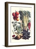 Vegetables; Beet, Hot Peppers, Celery, Tomatoes, and Peas in Pods-Philippe-Victoire Leveque de Vilmorin-Framed Art Print