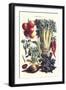 Vegetables; Beet, Hot Peppers, Celery, Tomatoes, and Peas in Pods-Philippe-Victoire Leveque de Vilmorin-Framed Art Print
