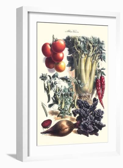 Vegetables; Beet, Hot Peppers, Celery, Tomatoes, and Peas in Pods-Philippe-Victoire Leveque de Vilmorin-Framed Art Print