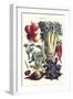 Vegetables; Beet, Hot Peppers, Celery, Tomatoes, and Peas in Pods-Philippe-Victoire Leveque de Vilmorin-Framed Art Print