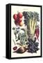 Vegetables; Beet, Hot Peppers, Celery, Tomatoes, and Peas in Pods-Philippe-Victoire Leveque de Vilmorin-Framed Stretched Canvas