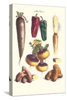 Vegetables; Bell Peppers, Turnips, Potato, Bok Choy and Tubers-Philippe-Victoire Leveque de Vilmorin-Stretched Canvas