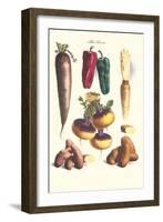 Vegetables; Bell Peppers, Turnips, Potato, Bok Choy and Tubers-Philippe-Victoire Leveque de Vilmorin-Framed Art Print