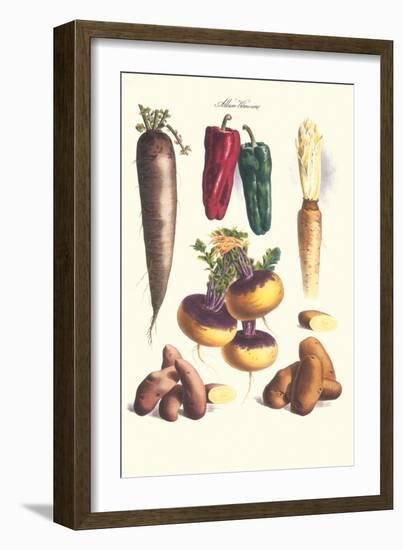 Vegetables; Bell Peppers, Turnips, Potato, Bok Choy and Tubers-Philippe-Victoire Leveque de Vilmorin-Framed Art Print