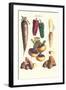 Vegetables; Bell Peppers, Turnips, Potato, Bok Choy and Tubers-Philippe-Victoire Leveque de Vilmorin-Framed Art Print