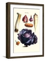 Vegetables; Cabbage, Celery, Yam, Potato, Onion, Tomato, Horse Raddish-Philippe-Victoire Leveque de Vilmorin-Framed Art Print