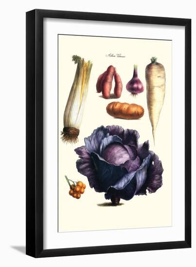 Vegetables; Cabbage, Celery, Yam, Potato, Onion, Tomato, Horse Raddish-Philippe-Victoire Leveque de Vilmorin-Framed Art Print