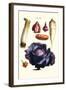 Vegetables; Cabbage, Celery, Yam, Potato, Onion, Tomato, Horse Raddish-Philippe-Victoire Leveque de Vilmorin-Framed Art Print