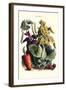 Vegetables; Cabbage, Peas, Strawberries, and Carrot-Philippe-Victoire Leveque de Vilmorin-Framed Art Print
