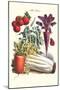 Vegetables; Carrot, Beet, Tomato, and Celery-Philippe-Victoire Leveque de Vilmorin-Mounted Art Print