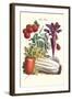 Vegetables; Carrot, Beet, Tomato, and Celery-Philippe-Victoire Leveque de Vilmorin-Framed Art Print