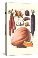 Vegetables; Carrot, Potato, Onion, and Pumpkin-Philippe-Victoire Leveque de Vilmorin-Stretched Canvas