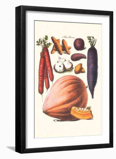 Vegetables; Carrot, Potato, Onion, and Pumpkin-Philippe-Victoire Leveque de Vilmorin-Framed Art Print