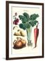 Vegetables; Celery, Strawberry, Onion, Carrot, and Potato-Philippe-Victoire Leveque de Vilmorin-Framed Art Print