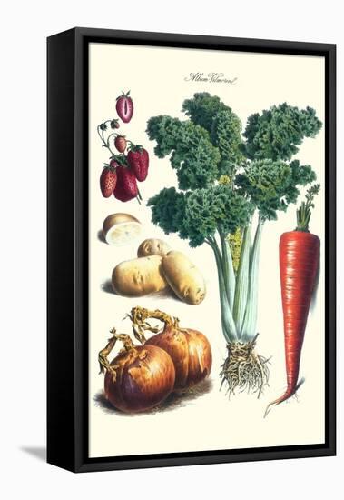 Vegetables; Celery, Strawberry, Onion, Carrot, and Potato-Philippe-Victoire Leveque de Vilmorin-Framed Stretched Canvas
