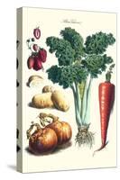 Vegetables; Celery, Strawberry, Onion, Carrot, and Potato-Philippe-Victoire Leveque de Vilmorin-Stretched Canvas