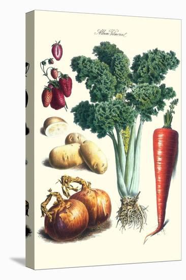 Vegetables; Celery, Strawberry, Onion, Carrot, and Potato-Philippe-Victoire Leveque de Vilmorin-Stretched Canvas