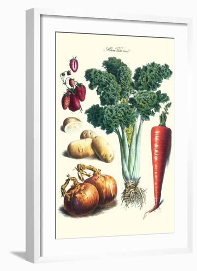 Vegetables; Celery, Strawberry, Onion, Carrot, and Potato-Philippe-Victoire Leveque de Vilmorin-Framed Art Print