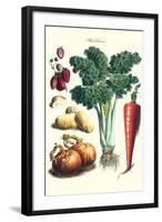 Vegetables; Celery, Strawberry, Onion, Carrot, and Potato-Philippe-Victoire Leveque de Vilmorin-Framed Art Print
