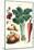 Vegetables; Celery, Strawberry, Onion, Carrot, and Potato-Philippe-Victoire Leveque de Vilmorin-Mounted Art Print