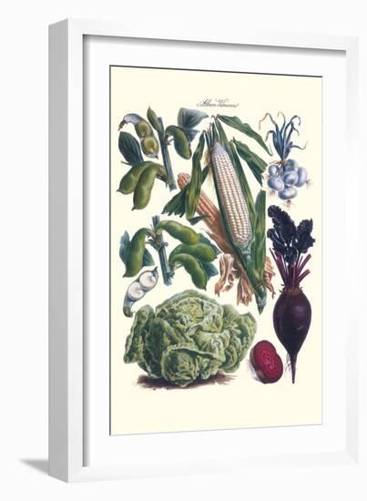 Vegetables; Corn, Cabbage, Beet, Onion, and Beans-Philippe-Victoire Leveque de Vilmorin-Framed Art Print