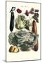 Vegetables; Cucumber, Cabbage, Eggplant, Potato, and Beet-Philippe-Victoire Leveque de Vilmorin-Mounted Art Print