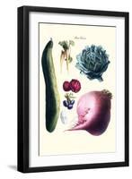 Vegetables; Cucumber, Raddish, Tuber, Artichoke-Philippe-Victoire Leveque de Vilmorin-Framed Art Print