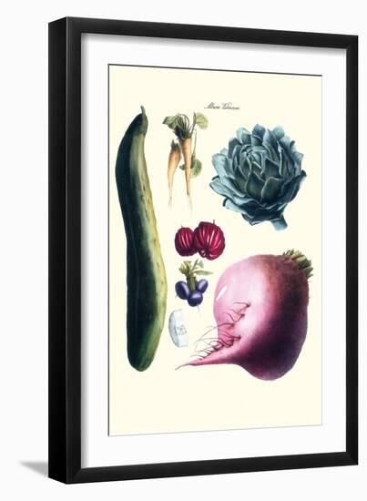 Vegetables; Cucumber, Raddish, Tuber, Artichoke-Philippe-Victoire Leveque de Vilmorin-Framed Art Print