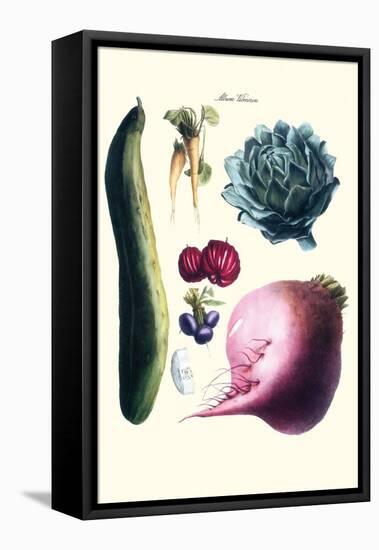 Vegetables; Cucumber, Raddish, Tuber, Artichoke-Philippe-Victoire Leveque de Vilmorin-Framed Stretched Canvas