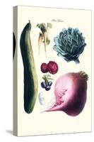 Vegetables; Cucumber, Raddish, Tuber, Artichoke-Philippe-Victoire Leveque de Vilmorin-Stretched Canvas