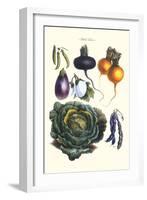 Vegetables; Eggplant, Beans, Cabbage, Turnips-Philippe-Victoire Leveque de Vilmorin-Framed Art Print
