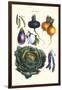 Vegetables; Eggplant, Beans, Cabbage, Turnips-Philippe-Victoire Leveque de Vilmorin-Framed Art Print