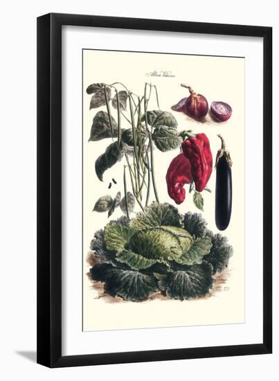 Vegetables; Eggplant, Cabbage, Peppers, Onions, and Beans.-Philippe-Victoire Leveque de Vilmorin-Framed Art Print