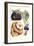 Vegetables; Eggplant, Raddish, Pumpkin, Gourd, Pepper and Okra-Philippe-Victoire Leveque de Vilmorin-Framed Art Print