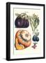 Vegetables; Eggplant, Raddish, Pumpkin, Gourd, Pepper and Okra-Philippe-Victoire Leveque de Vilmorin-Framed Art Print