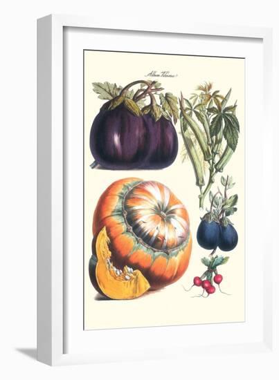 Vegetables; Eggplant, Raddish, Pumpkin, Gourd, Pepper and Okra-Philippe-Victoire Leveque de Vilmorin-Framed Art Print