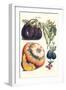 Vegetables; Eggplant, Raddish, Pumpkin, Gourd, Pepper and Okra-Philippe-Victoire Leveque de Vilmorin-Framed Art Print