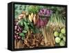 Vegetables for Sale in a Market in Laos, Indochina, Southeast Asia-Tim Hall-Framed Stretched Canvas