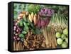 Vegetables for Sale in a Market in Laos, Indochina, Southeast Asia-Tim Hall-Framed Stretched Canvas