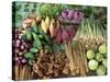 Vegetables for Sale in a Market in Laos, Indochina, Southeast Asia-Tim Hall-Stretched Canvas