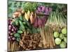 Vegetables for Sale in a Market in Laos, Indochina, Southeast Asia-Tim Hall-Mounted Photographic Print