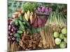 Vegetables for Sale in a Market in Laos, Indochina, Southeast Asia-Tim Hall-Mounted Photographic Print