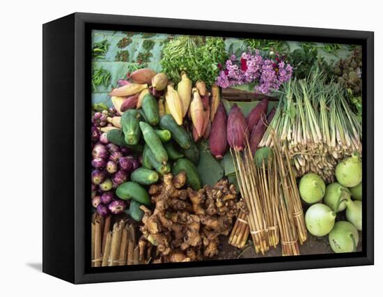 Vegetables for Sale in a Market in Laos, Indochina, Southeast Asia-Tim Hall-Framed Stretched Canvas